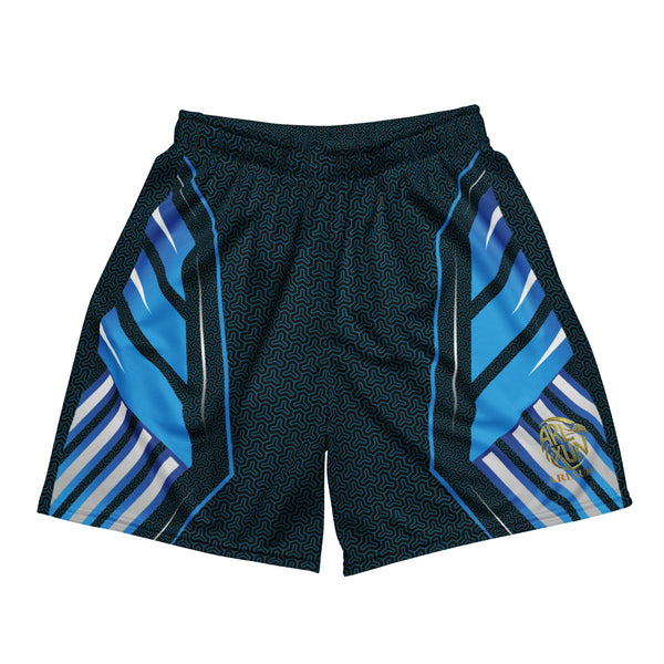 Graphic Sports Shorts – Blue & Black Striped Print | ARLXUN