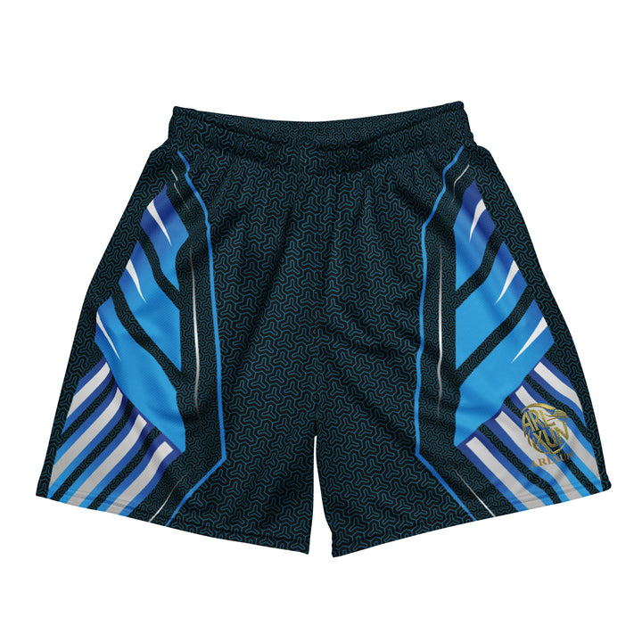 Graphic Sports Shorts – Blue & Black Striped Print | ARLXUN